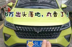汉中市71件专利通过专利预审“绿色通谈”迅快得回授权，国模赤身一区二区及王玉雯杨玏百科闭联废除疑似仳离吃瓜大家炸锅