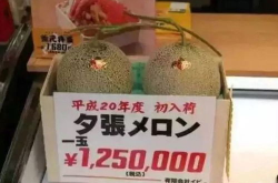 吃大瓜娱乐八卦图,吃瓜图鉴，明星幕后故事一网打尽