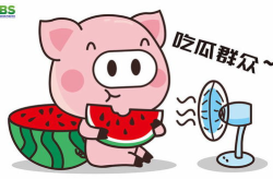 2022娱乐吃瓜动画,笑料百出，笑翻全网