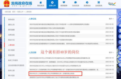 深圳招工招聘信息查询,热门岗位与薪资待遇一览