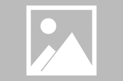 娱乐吃瓜酱单身基因,单身基因背后的秘密