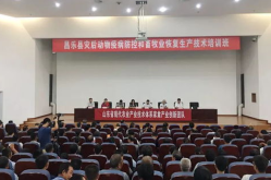 山东省畜牧兽医局,推动畜牧业高质量发展，保障畜产品质量安全