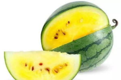 吃瓜娱乐素材哪里找,吃瓜娱乐素材的宝藏之地